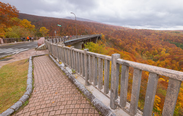Fototapeta na wymiar Jogakura bridge, mountain and valley with beautiful autumn season colors during mid October, Aomori, Japan.