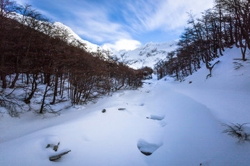 Winter Path full of snow at Ushuaia, Patagonia, Argentina