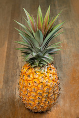 Single one full whole organic pineapple fruit on wooden background standing upright