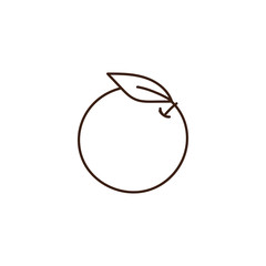 Orange outline illustration. Vector doodle sketch hand drawn citrus fruit illustration