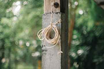 Beauty Nature Around My House