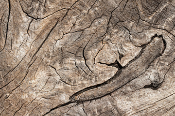 Texture of old wooden natural background