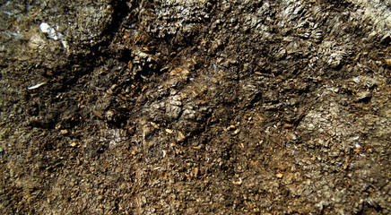 Abstract brown wooden background