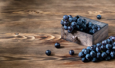 Bunch of grapes with copy space