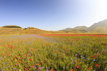 A magnificent sunrise in Castelluccio di Norcia. expecting more to the thousand colours of flowering