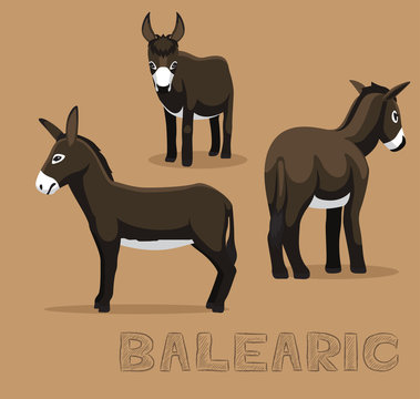Donkey Balearic Cartoon Vector Illustration