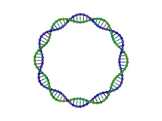 DNA strand in form of circle. 3D rendering illustration.