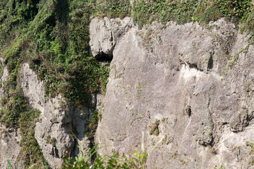Sheer seas cliff in Japan