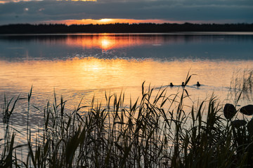 Valdai. Ecological trails of Russia. Dawn over lake Valdai