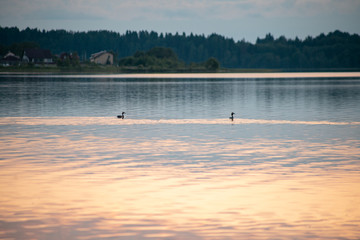 Valdai. Ecological trails of Russia. Dawn over lake Valdai