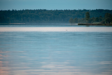 predawn lake Valdai