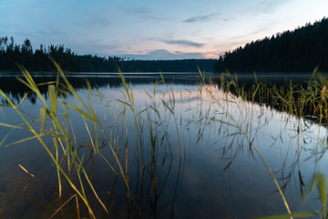 Dawn on the Uzhin Lake