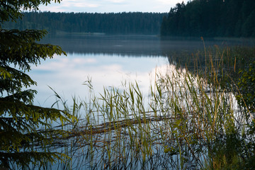 Dawn on the Uzhin Lake
