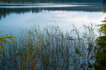 Dawn on the Uzhin Lake