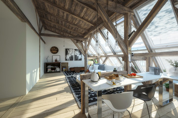 My place under the roof 03 (concept)