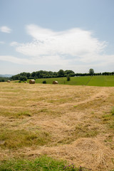 Obraz premium The road to Santiago between Roncesvalles and Zubiri