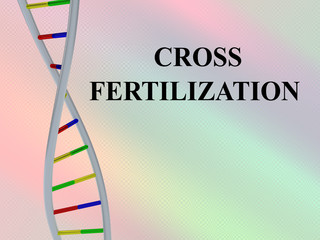 CROSS FERTILIZATION concept