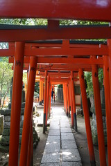 Fototapeta na wymiar 鳥居　赤い鳥居　根津神社　神社　日本　東京