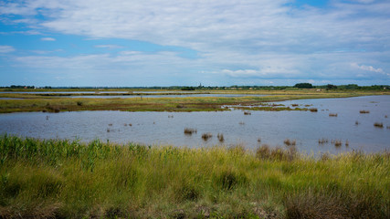 Fototapeta na wymiar View of Marais d Olonne Olonne swamp in Vendee France
