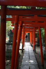 鳥居　赤い鳥居　根津神社　神社　日本　東京