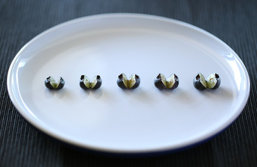 blueberry isolated in a plate on blue background