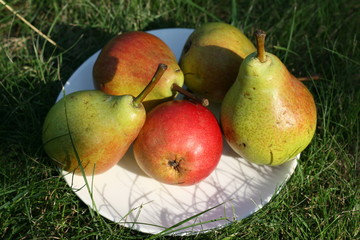fruit
