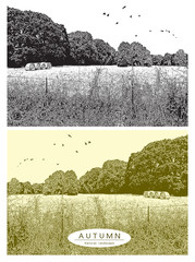 Rural landscape with field grass, trees and birds flying in the sky. Vector graphic illustration of autumn nature in black and white and beige color vintage style.