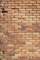 Decomposing brick wall  has interesting old bricks in varying hues of brown and tan
