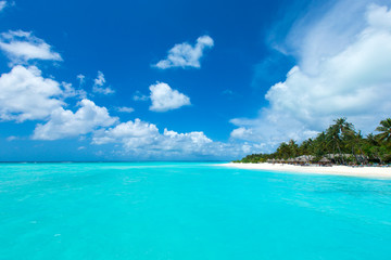 Fototapeta na wymiar beach in Maldives with blue lagoon