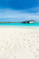  beach in Maldives with few palm trees and blue lagoon