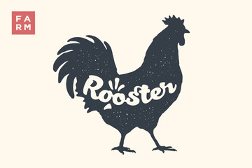 Rooster. Lettering, typography. Animal silhoutte rooster, hen and lettering Rooster. Creative graphic design for butcher shop, farmer market. Vintage poster for meat related theme. Vector Illustration