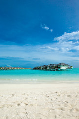 tropical Maldives island with white sandy beach and sea