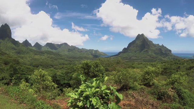 Nature panning shot of Mount Rotui in Mo&rsquo;orea, French Polynesia