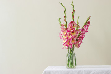 A bouquet of multicolored gladioli in a glass vase on a light background. Greeting card.