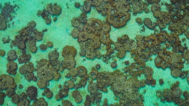 Flying above crystal clear waters of Laem Tong, Part Of Phi Phi Island. 