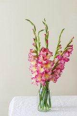 Naklejka na ściany i meble A bouquet of multicolored gladioli in a glass vase on a light background. Greeting card.