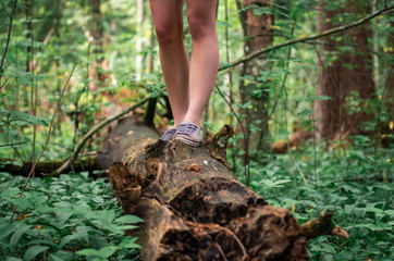 A woman in shorts walking on a log in the forest in the summer