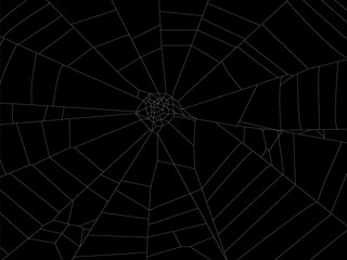 Round spider web element illustration for design.