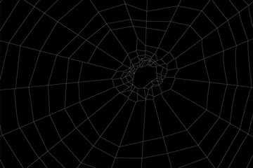 Circular cobweb illustration for design and decoration