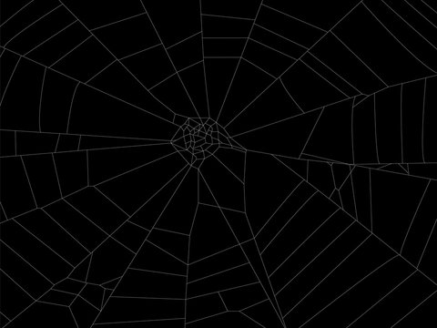 Round spider web element illustration for design.