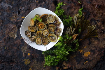 Plate with fresh limpets