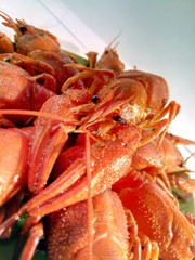 river cancer, Lobster snack, gourmet dish.
