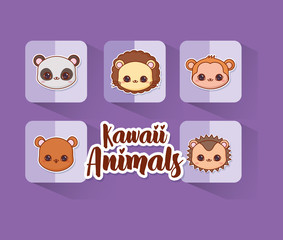 Kawaii animals over colorful squares and purple background, vector illustration