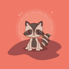 kawaii raccoon icon over orange background, colorful design. vector illustration