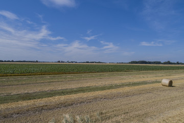 Obraz premium Drohnenflug über einem Stroh Rundballenfeld
