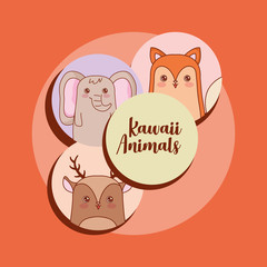 Kawaii animals over orange background, colorful design. vector illustration