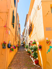 Piękna, wąska uliczka udekorowana kwiatami w Alghero. Sardynia, Włochy. 