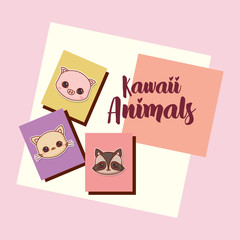 Kawaii animals over colorful squares and pink background, vector illustration