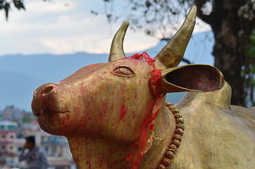 Sculpture of a bull in a Hindu temple
