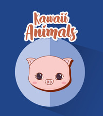 Kawaii pig icon over blue background, colorful design. vector illustration
